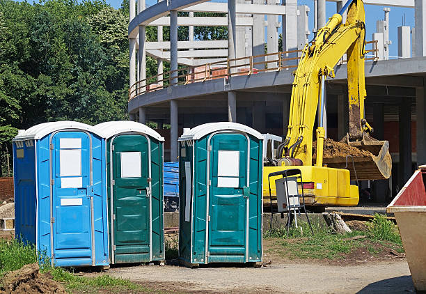 Best Standard Portable Toilet Rental  in Crystal Lake, IL